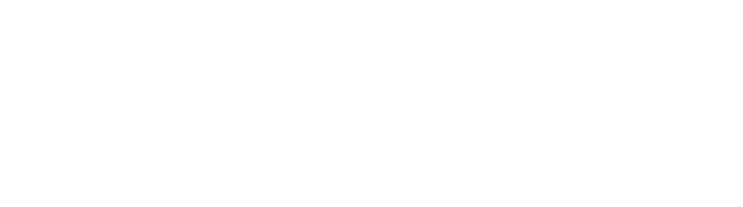 NEXUN